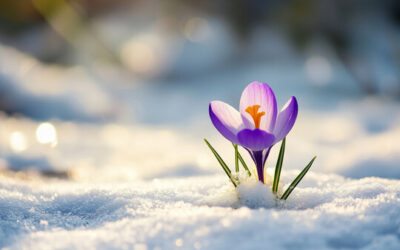 Superintendent’s Communication – 2.26.2026